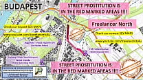 Street Prostitution Map of Budapest, Hungary with Indication where to find Streetworkers, Freelancers and Brothels. Also we show you the Bar, Nightlife and Red Light District in the City